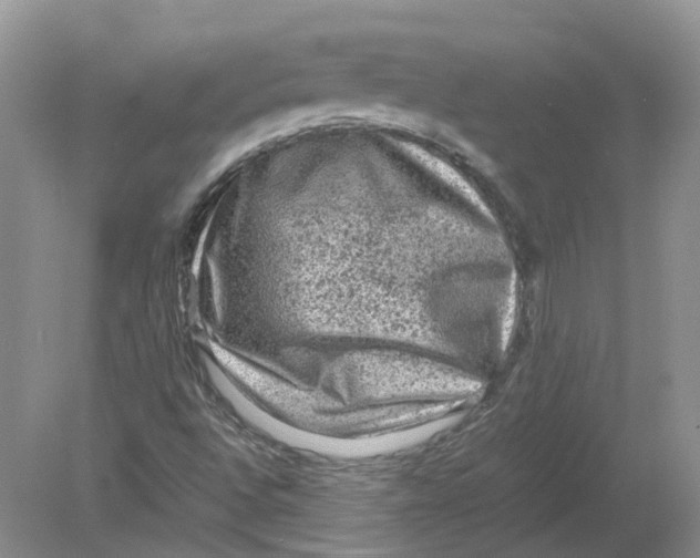 X0000078861496200612041918