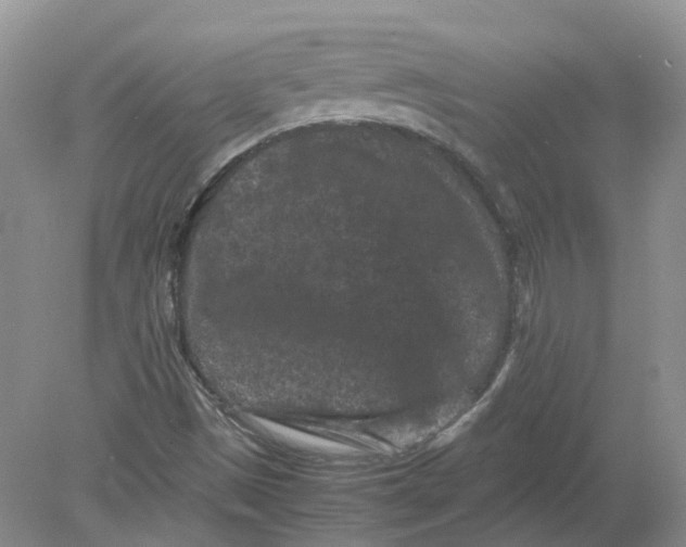 X0000078861497200612041918