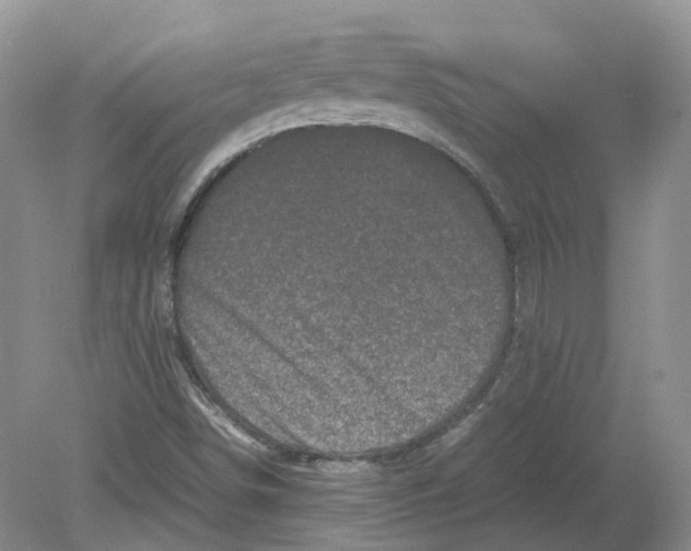 X0000078861498200612041918