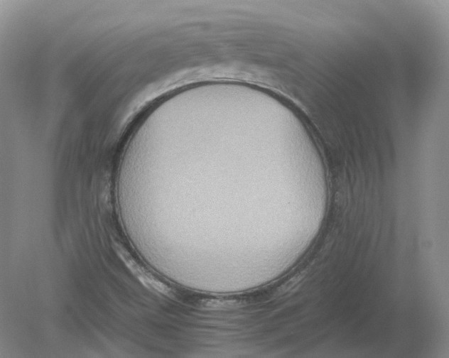 X0000078861499200612041918