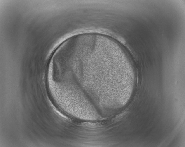 X0000078861500200612041918