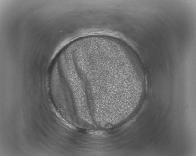 X0000078861501200612041918