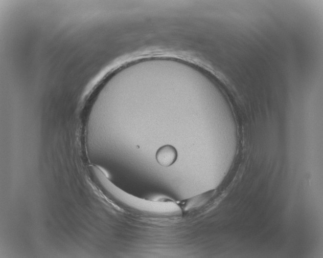 X0000078861502200612041918