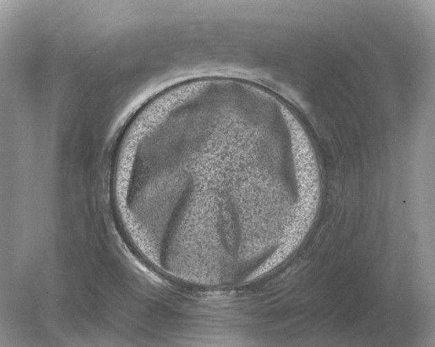 X0000078861504200612041918