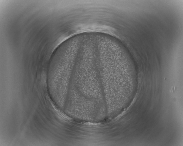 X0000078861505200612041918