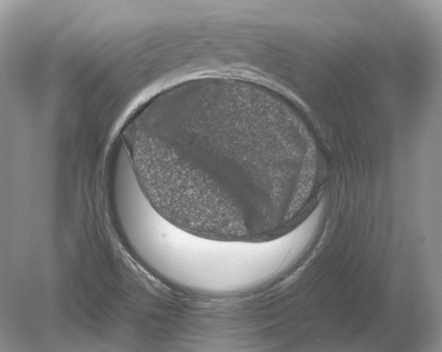 X0000078861506200612041918