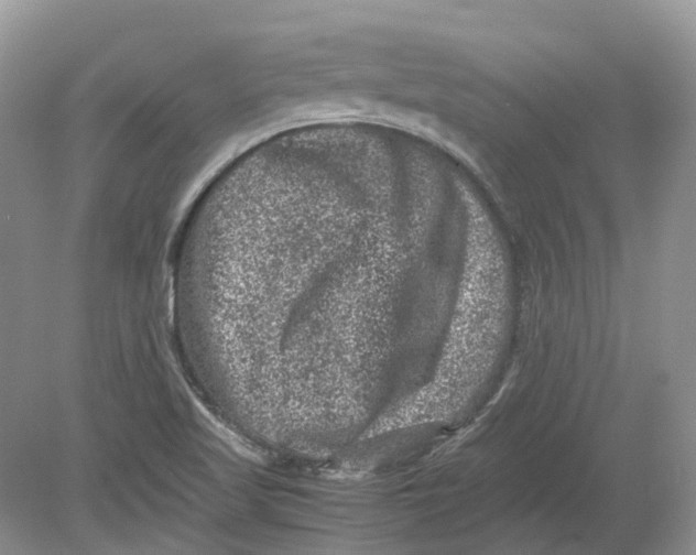 X0000078861509200612041918