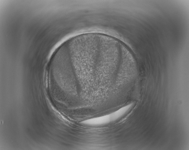 X0000078861510200612041918