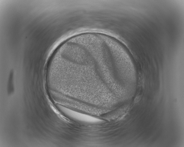 X0000078861511200612041918