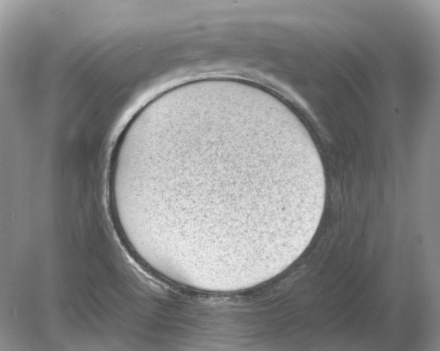 X0000078861512200612041918