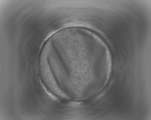 X0000078861513200612041919