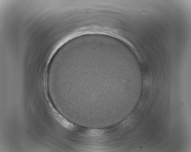 X0000078861514200612041919