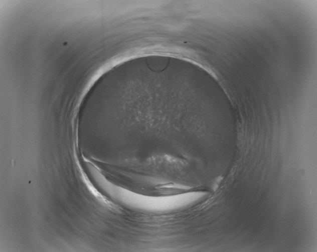 X0000078861515200612041919