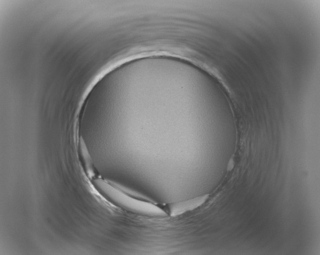 X0000078861516200612041919