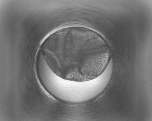 X0000078861518200612041919