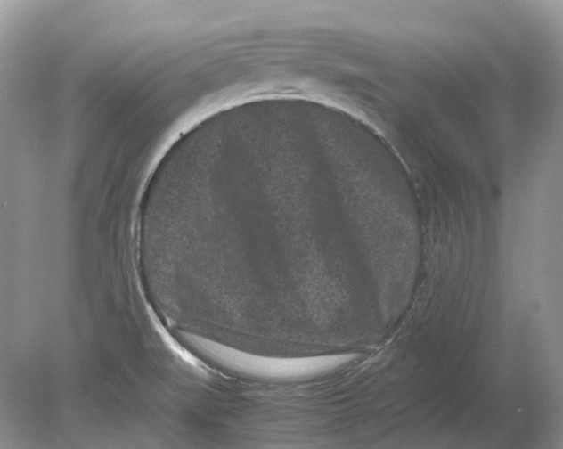 X0000078861519200612041919