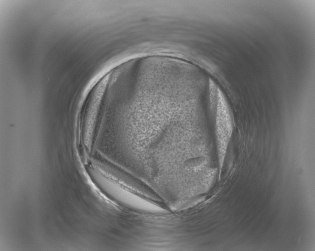 X0000078861520200612041919