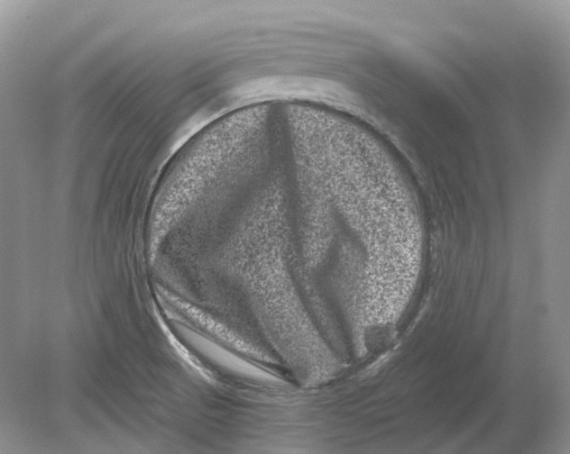 X0000078861521200612041919