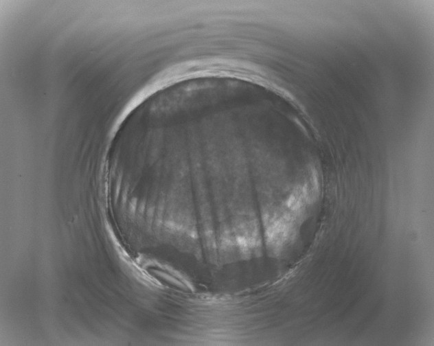 X0000078861522200612041919