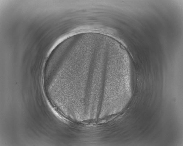 X0000078861523200612041919