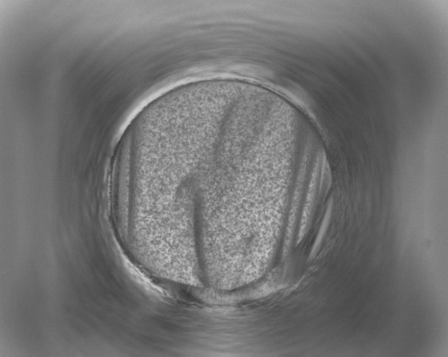 X0000078861524200612041919