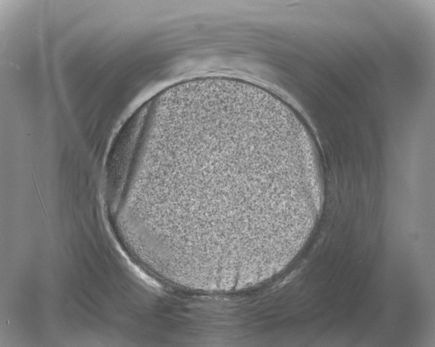 X0000078861525200612041919