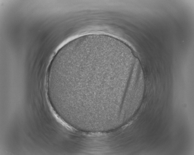 X0000078861526200612041919