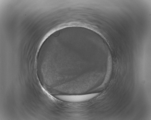 X0000078861527200612041919