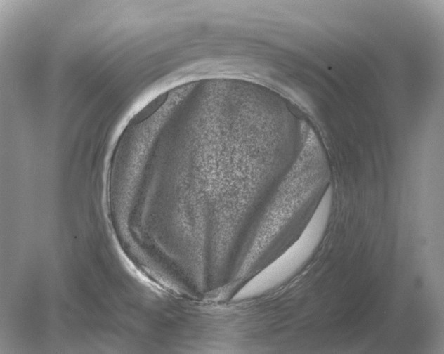 X0000078861528200612041919