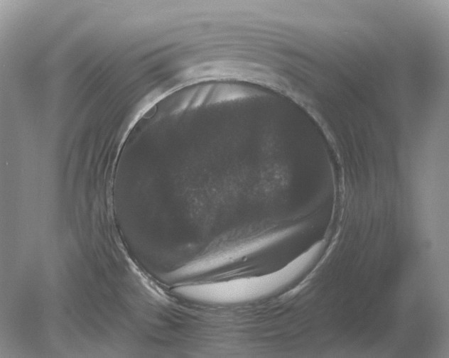 X0000078861529200612041919