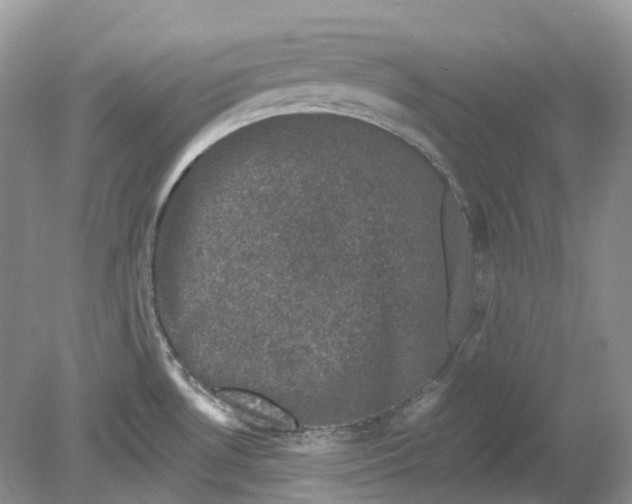 X0000078861530200612041919