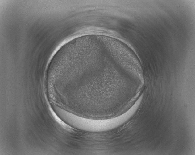 X0000078861531200612041919