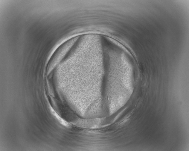 X0000078861532200612041919