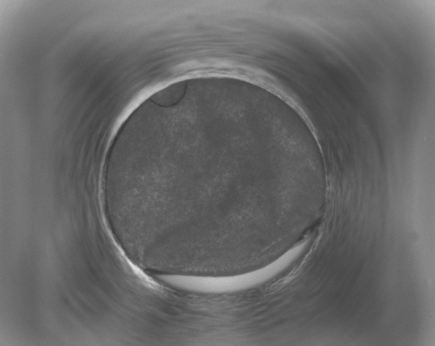 X0000078861533200612041919