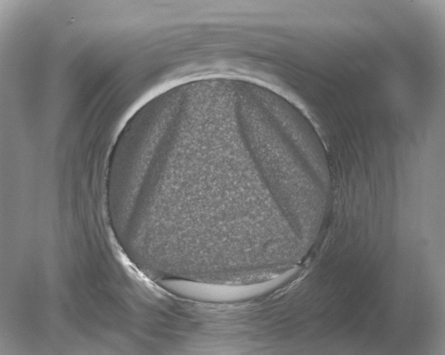 X0000078861534200612041919