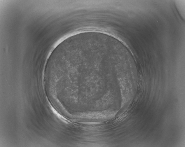 X0000078861535200612041919