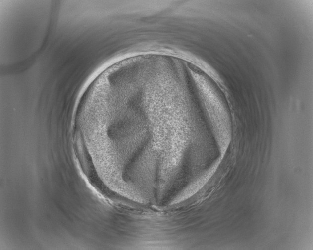 X0000078861536200612041919