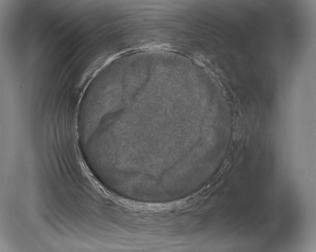 X0000078860002200612111659