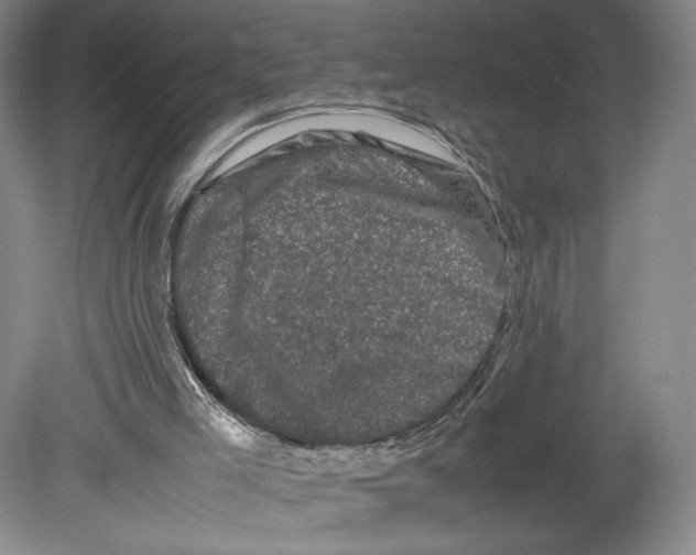X0000078860005200612111659