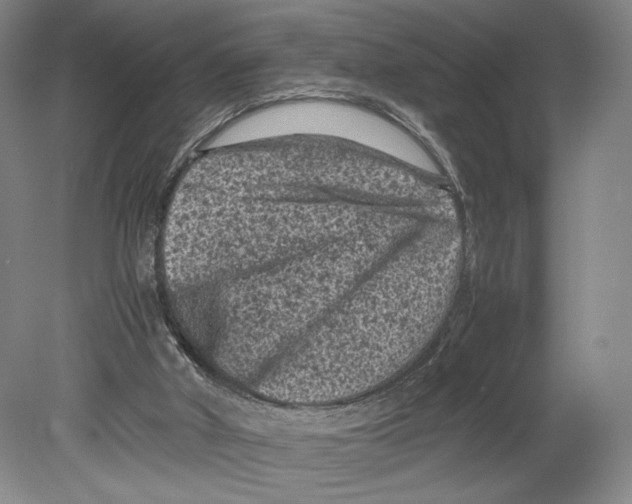 X0000078860010200612111659