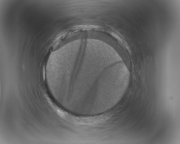 X0000078860013200612111659