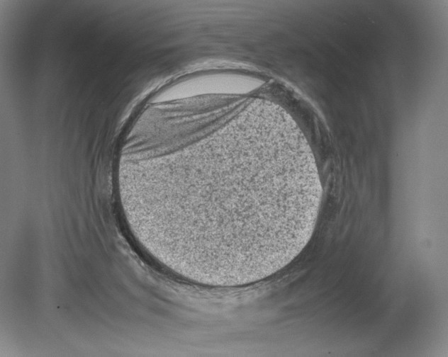 X0000078860015200612111659