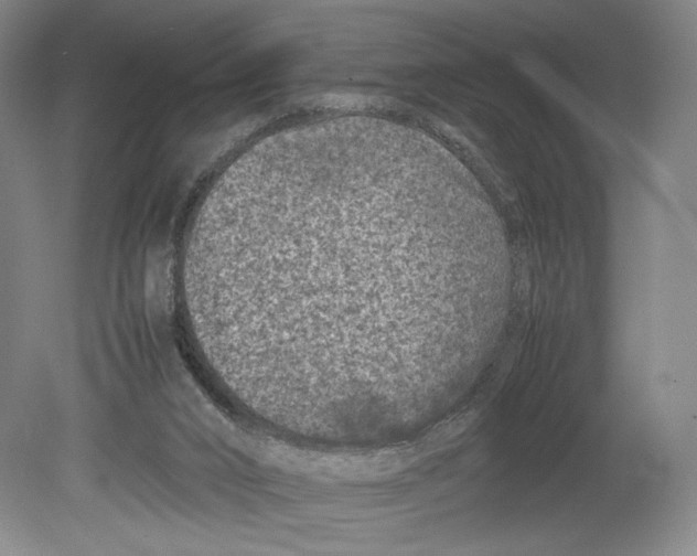 X0000078860016200612111659