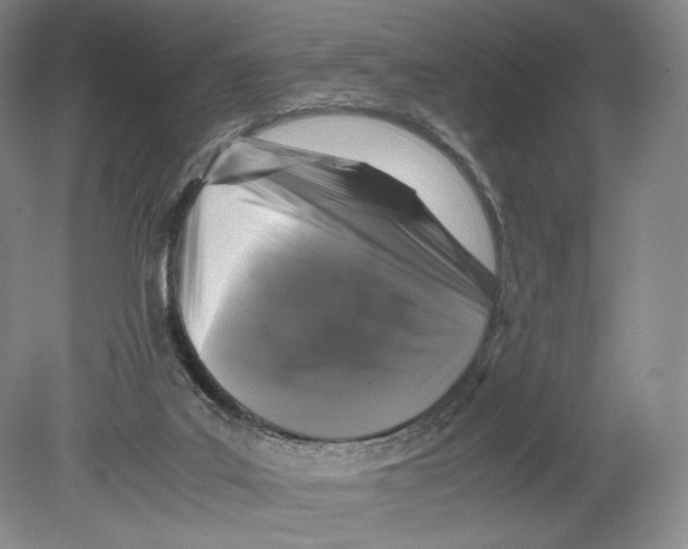X0000078860019200612111659