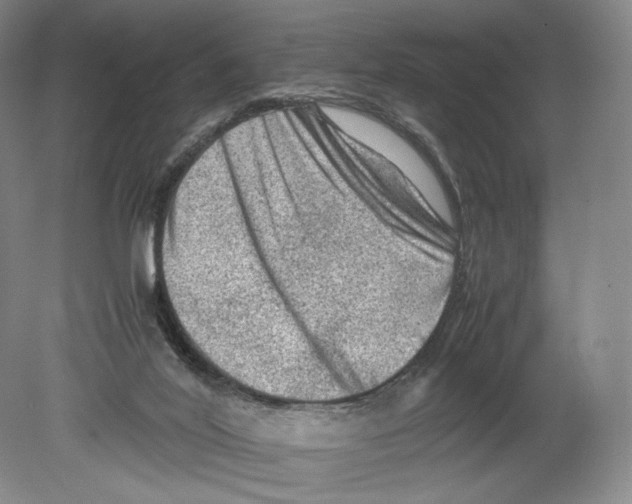 X0000078860020200612111659