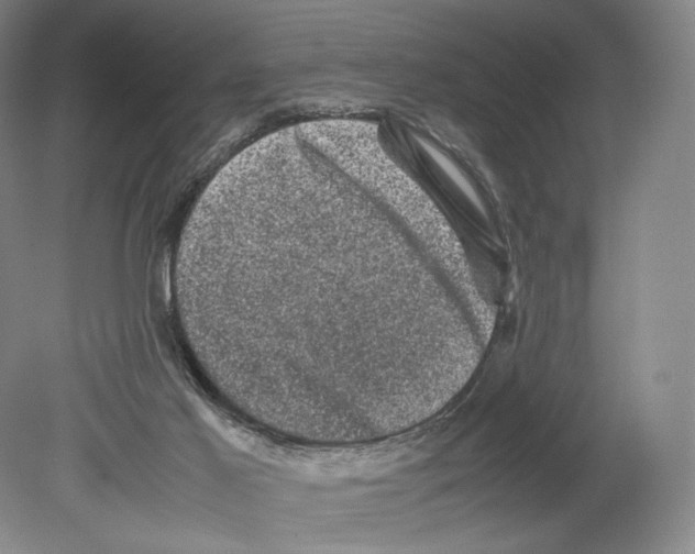 X0000078860021200612111659