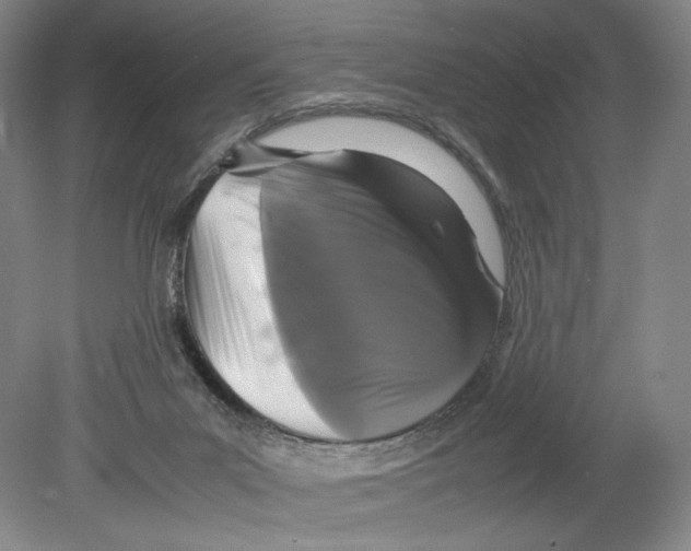 X0000078860023200612111659