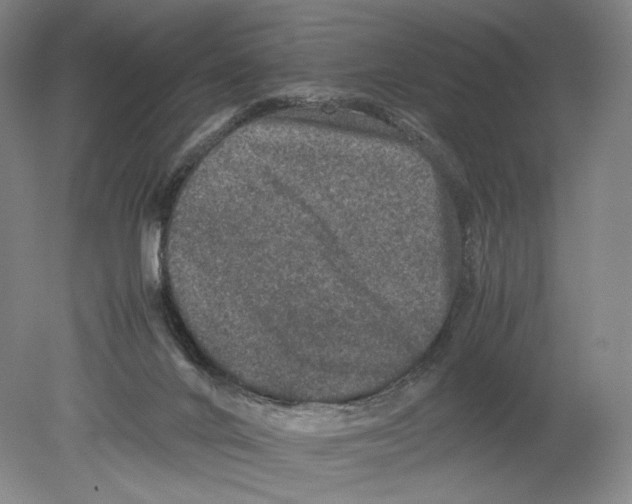 X0000078860024200612111659