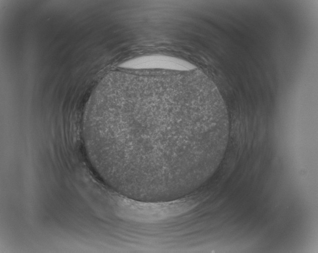 X0000078860030200612111659