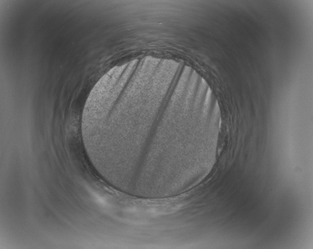 X0000078860033200612111659